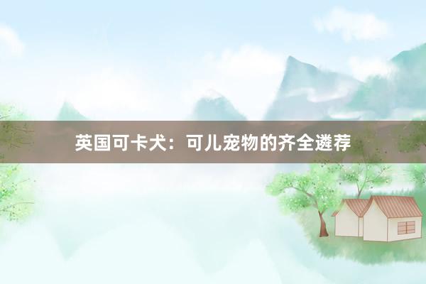 英国可卡犬：可儿宠物的齐全遴荐