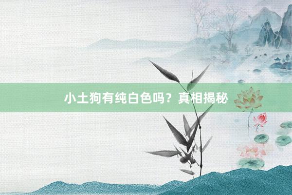 小土狗有纯白色吗？真相揭秘
