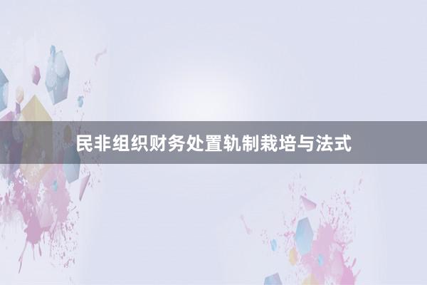 民非组织财务处置轨制栽培与法式